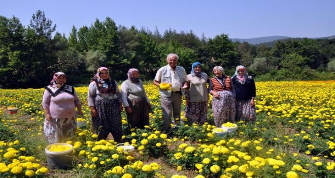 Ediz Hun Orhaneli?de: Burası harika