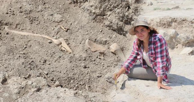 Denizli'de bilim insanlarını heyecanlandıran olay: Bu kemikler 8 bin yıl öncesinden kalma