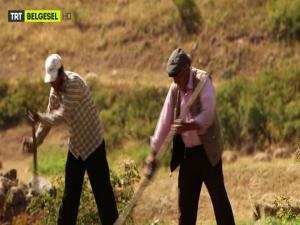 TRT Belgesel'de yeni dönem başladı