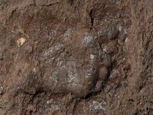 Van'da Urartulu bir çocuğa ait ayak izi bulundu